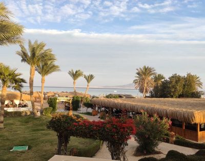 Royal Regency Club – Ultra All 5*