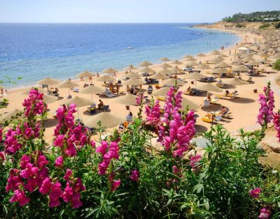 Domina Coral Bay Hotel, Resort, Spa & Casino 5*