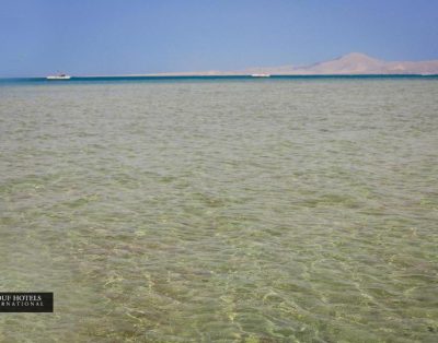 Raouf Hotels International Sun 5*